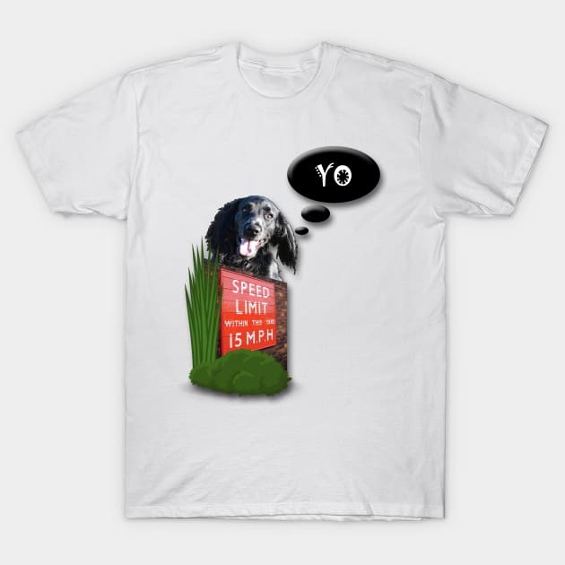 Funny black working cocker spaniel dog zoomies T-Shirt by ownedandloved